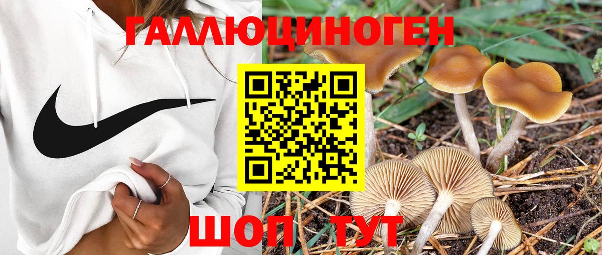 Галлюциногенные грибы GOLDEN TEACHER Богородицк