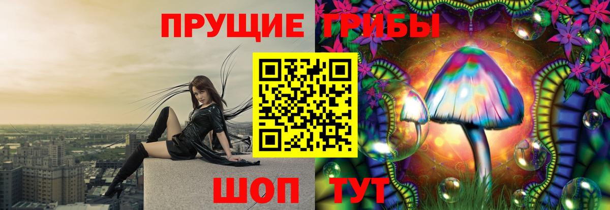Галлюциногенные грибы Cubensis  Вход с VPN  Галлюциногенные грибы мицелий  Богородицк 